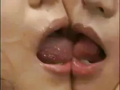 తెల్లటి గాడిద కొట్టడానికి సిద్ధంగా ఉంది